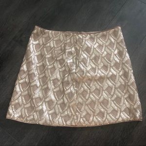 Sequin Skirt